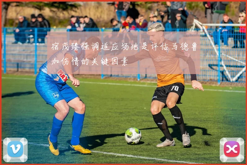宿茂臻强调适应场地是评估马德鲁加伤情的关键因素